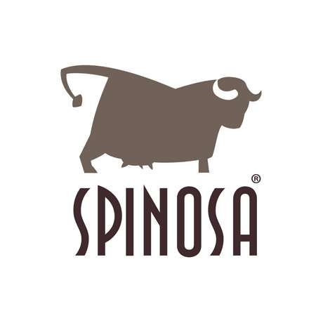 Spinosa Mozzarella
